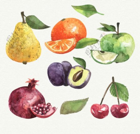 手绘水彩各种水果插图