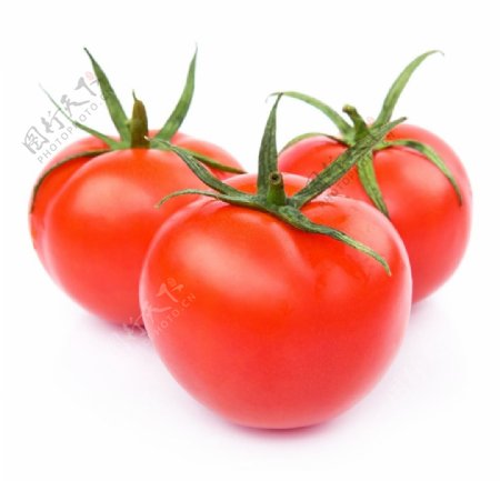 红彤彤的新鲜番茄