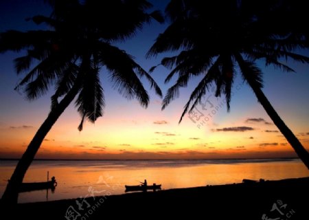 海滩傍晚椰树美景