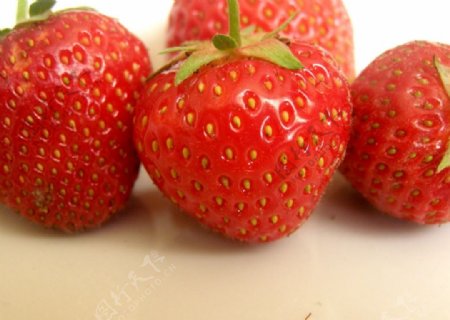 红草莓