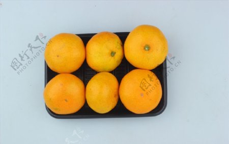 橘子类