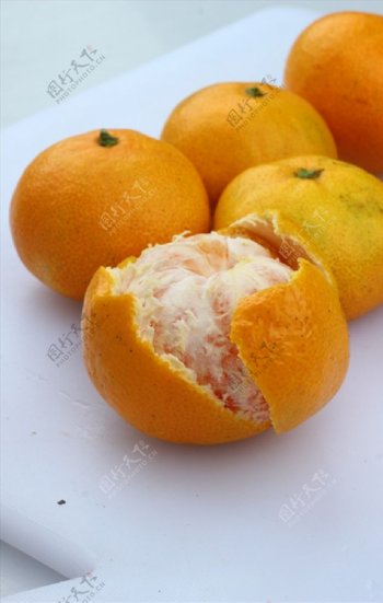 橘子柑橘类