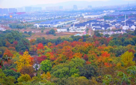 天平山风光