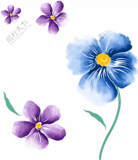 水粉花紫罗兰卉