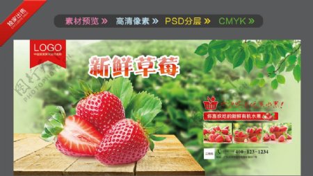 草莓海报草莓展板