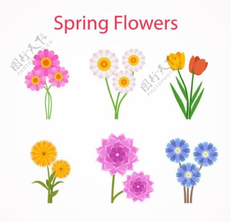 春季花卉花朵元素
