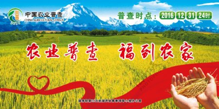 中国农业普查