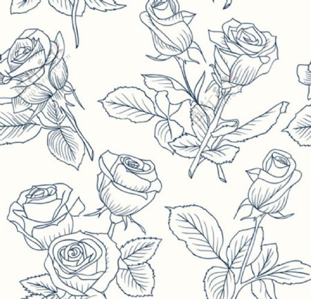 手绘线稿春季玫瑰花插图