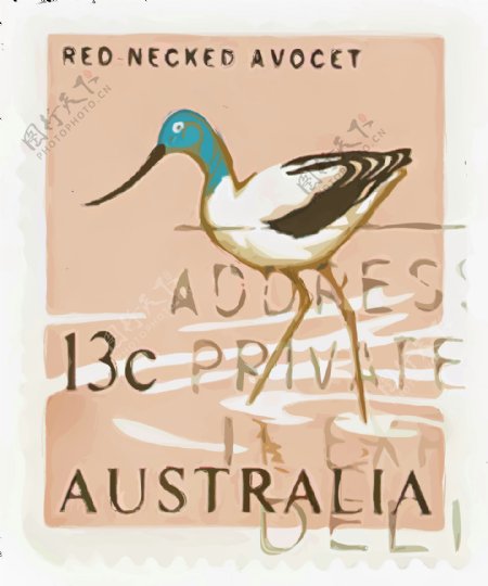 澳大利亚红颈反咀鸟邮票