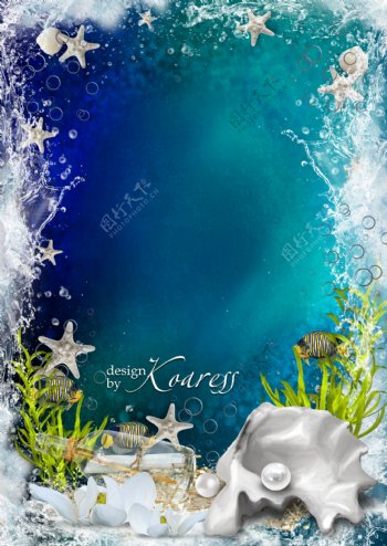 海洋珍珠海星蓝色背景