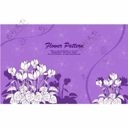紫色经典花纹图案