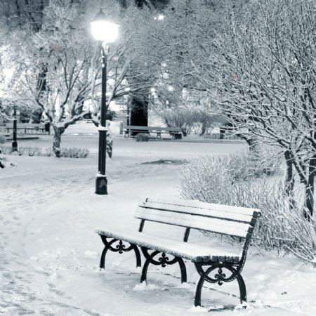 雪地上的长椅图片
