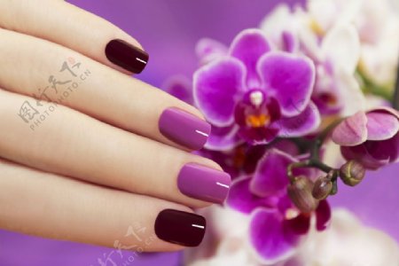 紫色指甲设计图片