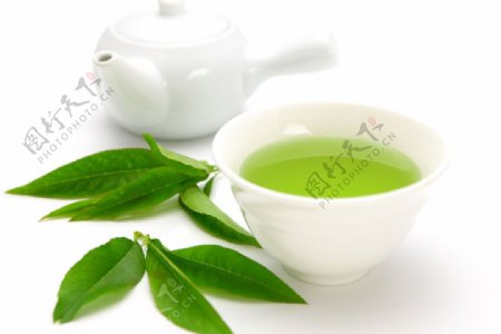 绿叶和茶壶图片