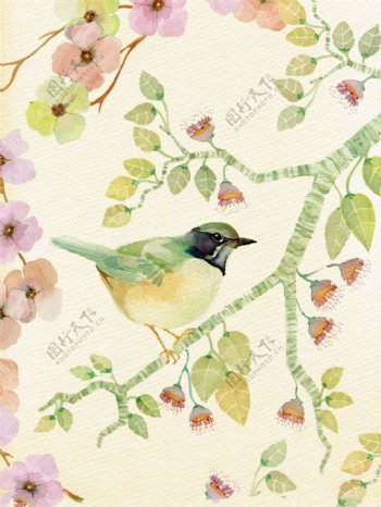 水彩花朵树枝上的小鸟插画