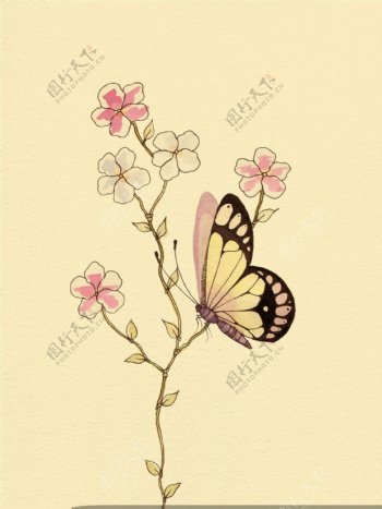 花朵蝴蝶插画图