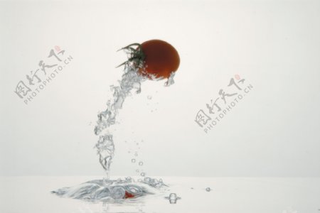 清澈的水抛出的西红柿图片