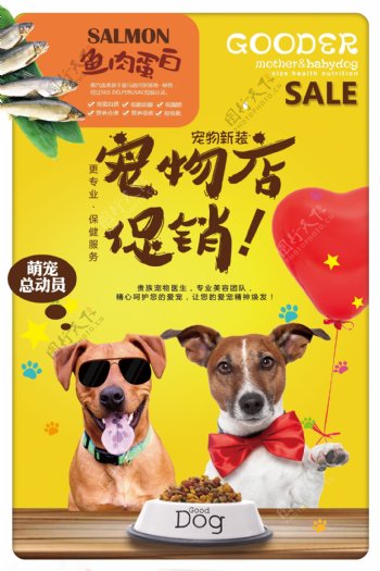 宠物店促销海报
