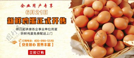 新鲜鸡蛋淘宝电商海报banner
