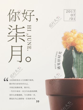 你好七月花盆植物清新文艺配图海报