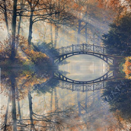 秋天树林拱桥风景图片