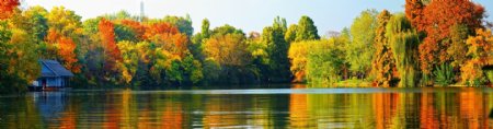 秋天树林湖泊风景图片