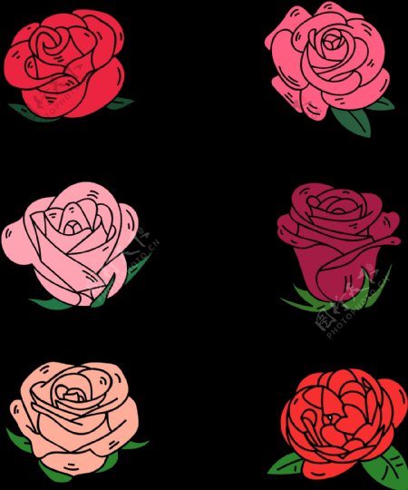 扁平红玫瑰插图免抠png透明图层素材