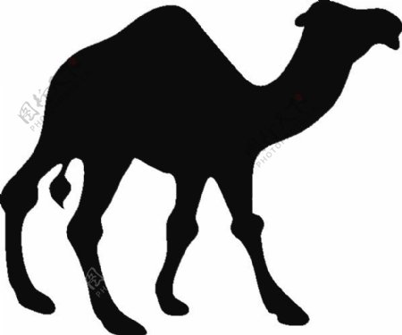 黑色骆驼剪影免抠png透明图层素材