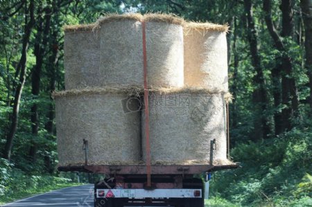 被运输的麦秸