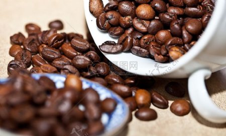 散落的咖啡豆