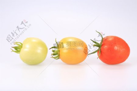 排列的西红柿