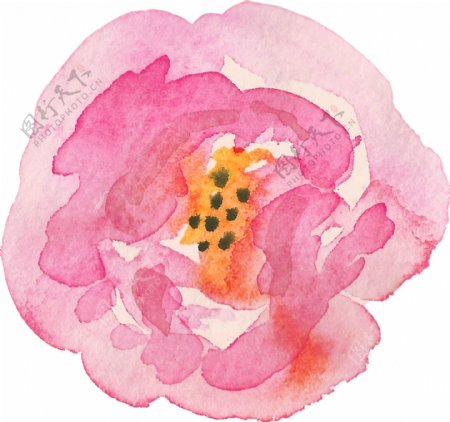 粉色水彩墨花朵俯视图