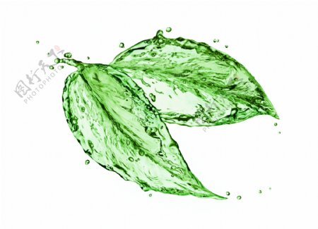 创意水滴绿叶图片