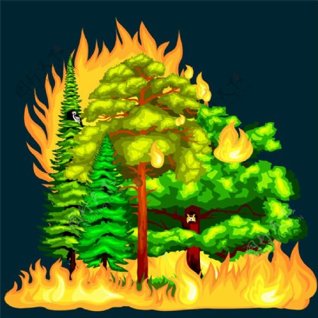 树林火焰火灾图片