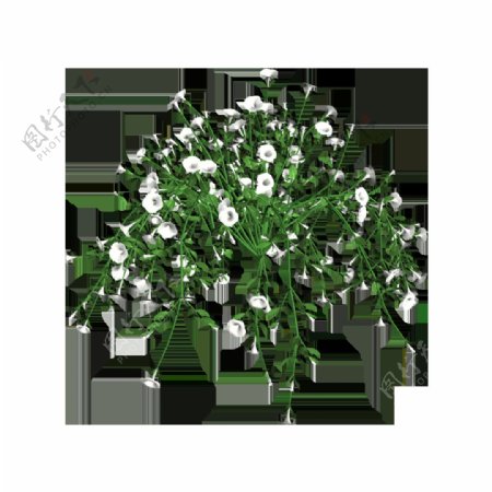 绿色花藤花朵元素