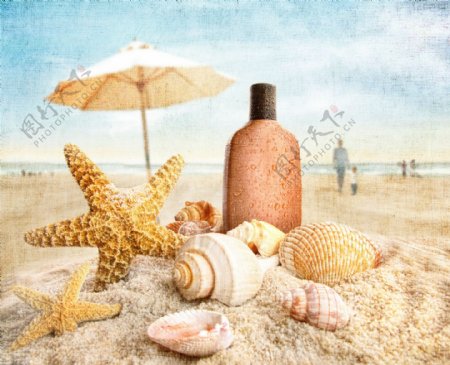 沙子上的海星和海螺图片