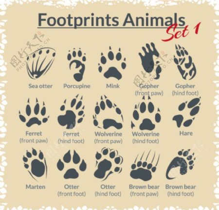 各种动物脚印设计矢量素材
