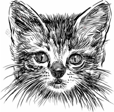 手绘可爱黑小猫矢量图素材