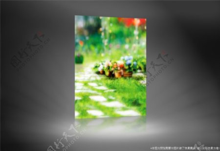 铺石路旁的花盆影楼摄影背景图片