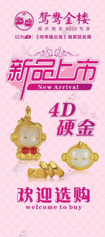 4D硬金珠宝新品上市