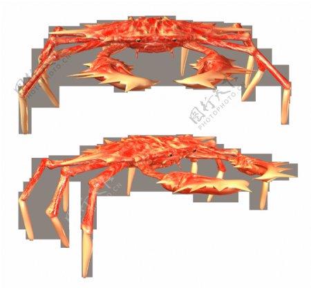 红色螃蟹图片免抠png透明图层素材