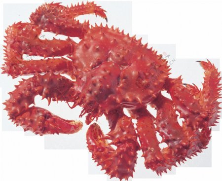 红色大螃蟹图片免抠png透明图层素材