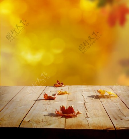 木板上的树叶与梦幻光斑图片