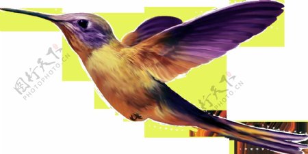 彩色飞翔小鸟图片免抠png透明图层素材