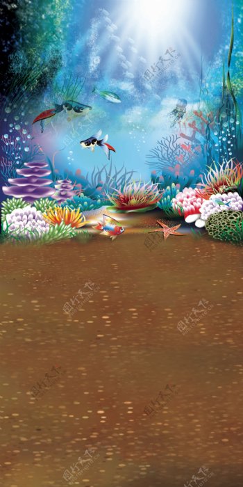 海底游鱼与珊瑚等影楼摄影背景图片