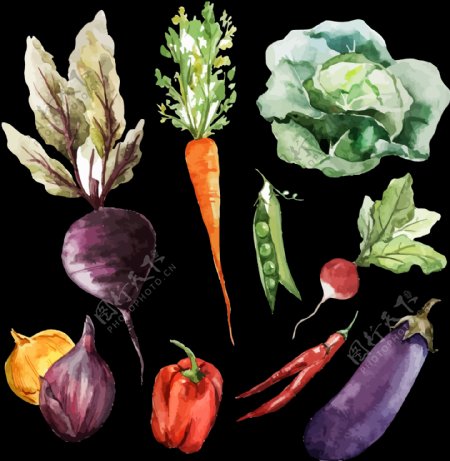 手绘风格各种蔬菜免抠png透明图层素材