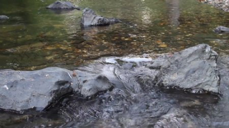 河水小溪石头视频素材