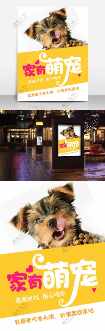 家有萌宠宠物店宠物领养宣传海报