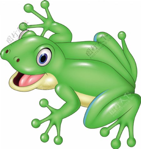一只手绘的绿色青蛙
