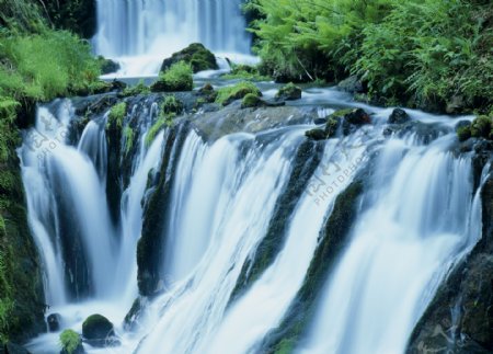 高山绿树瀑布自然景色图片